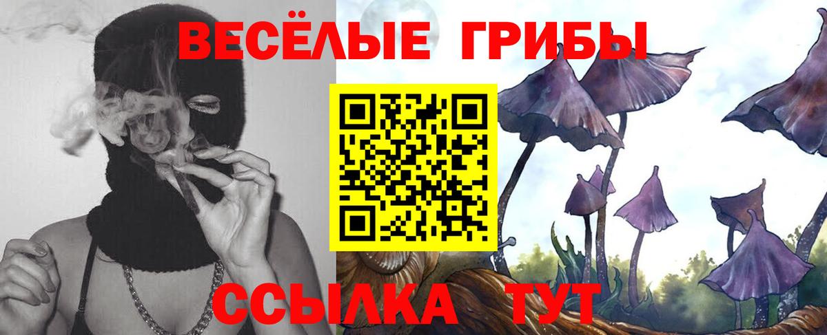 Псилоцибиновые грибы ЛСД Муром